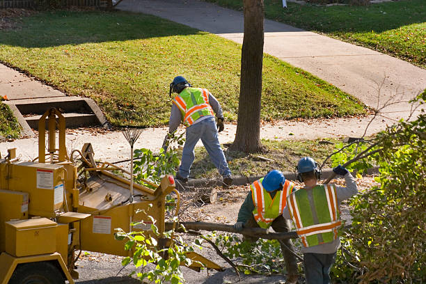 Best Seasonal Cleanup (Spring/Fall)  in Richmond, IN