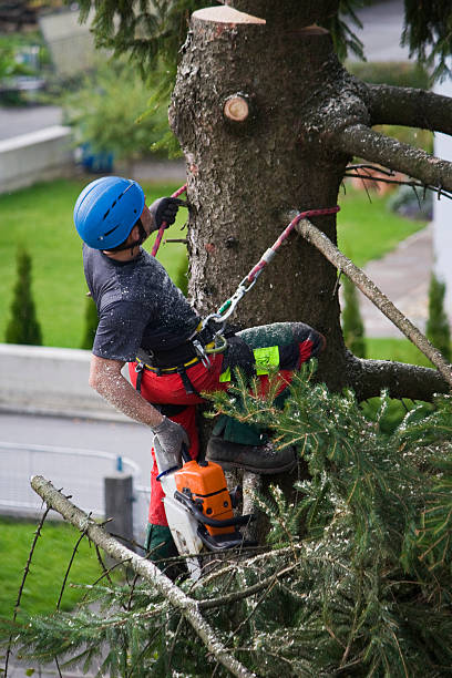  Richmond, IN Tree Services Pros