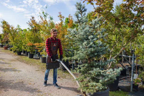 Best Hazardous Tree Removal  in Richmond, IN