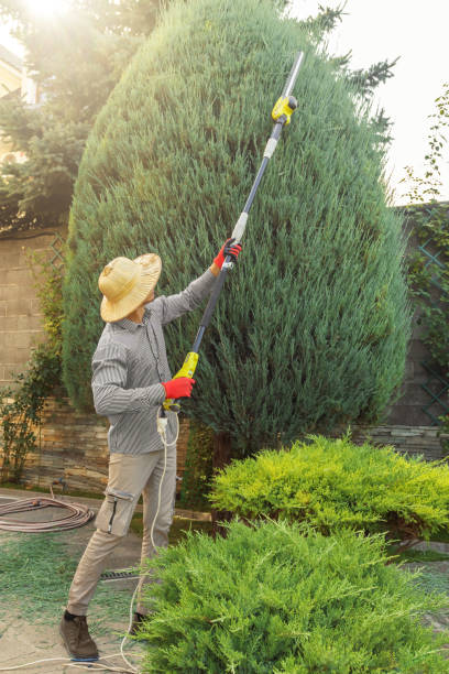 Best Lawn Pest Prevention  in Richmond, IN